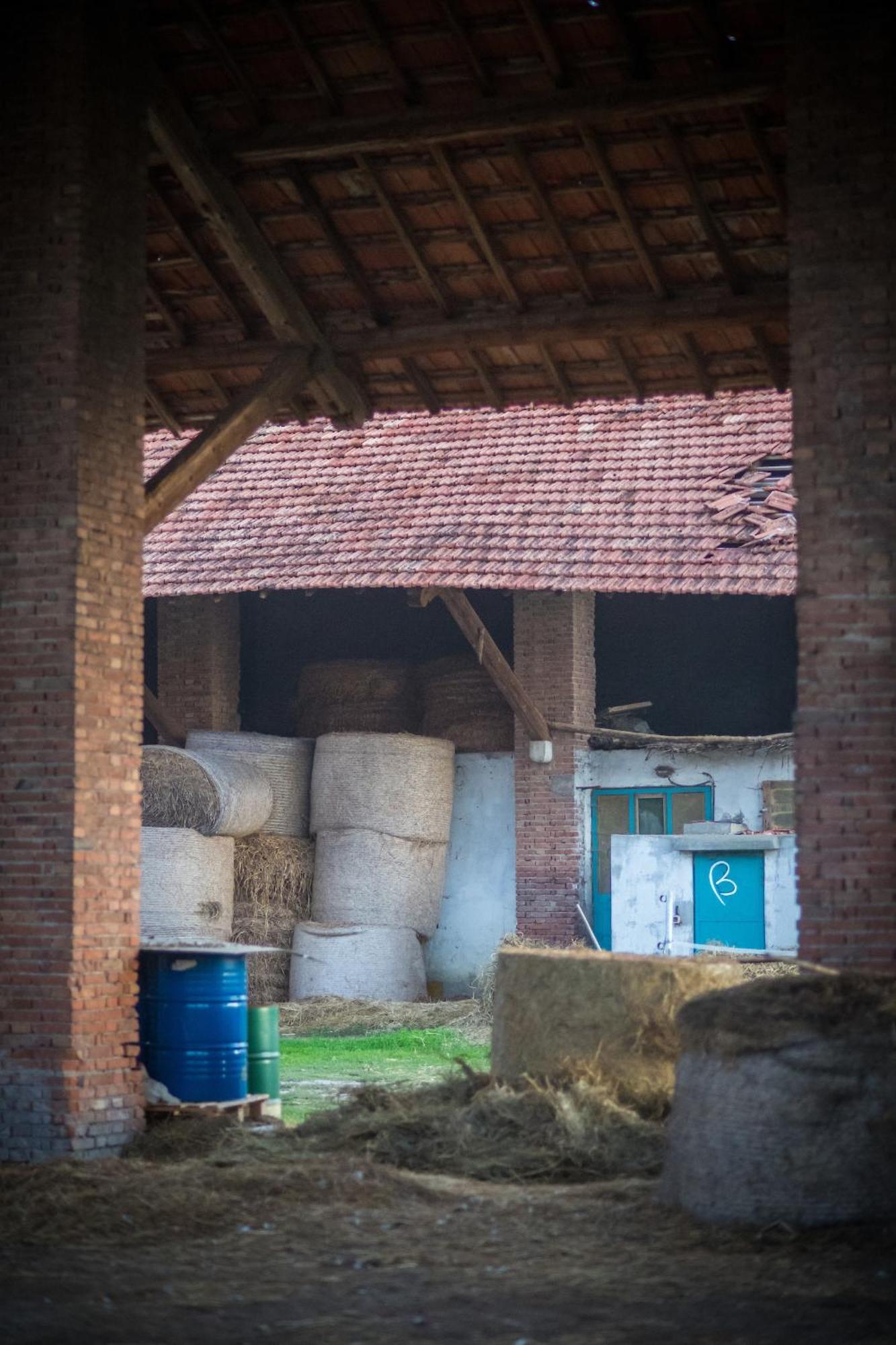 Agriturismo Beatilla Marmirolo Ngoại thất bức ảnh